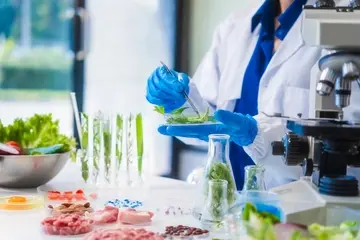 Come mandare un curriculum a Barilla + esempio CV