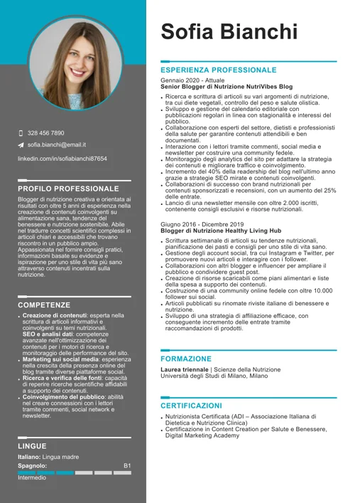 curriculum da blogger