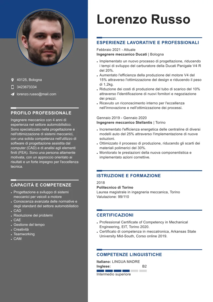 curriculum vitae professionale