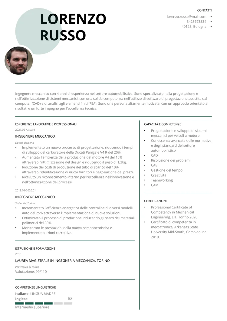 curriculum vitae professionale da compilare