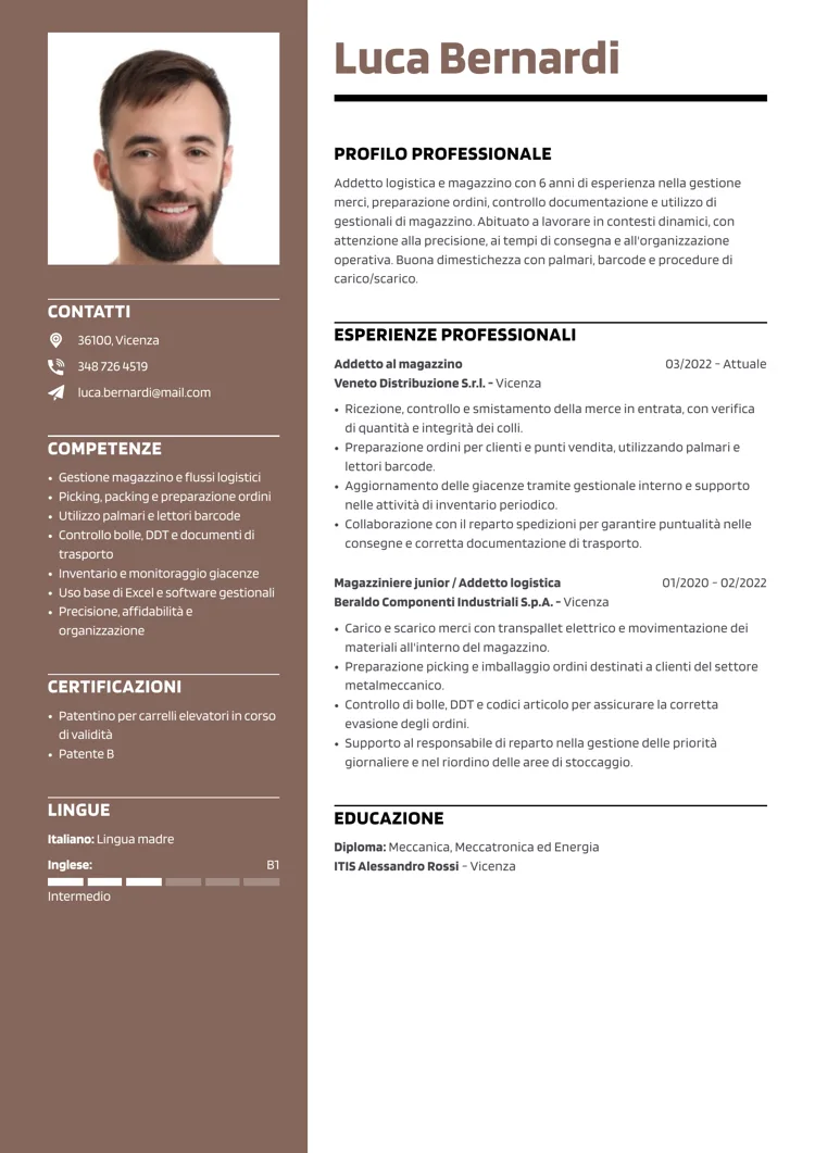 Modello editabile curriculum vitae Impeccabile