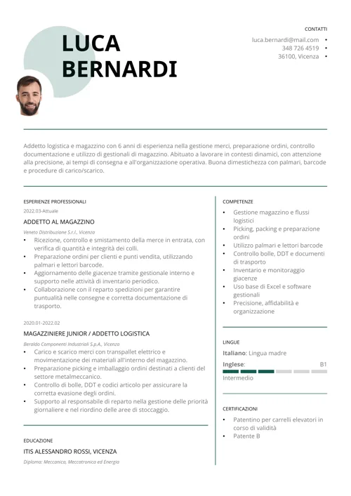 curriculum vitae editabile
