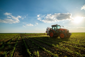 Esempio di curriculum vitae da agricoltore