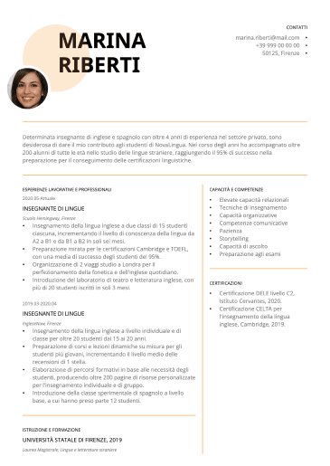 modello di CV moderno con sezioni divise