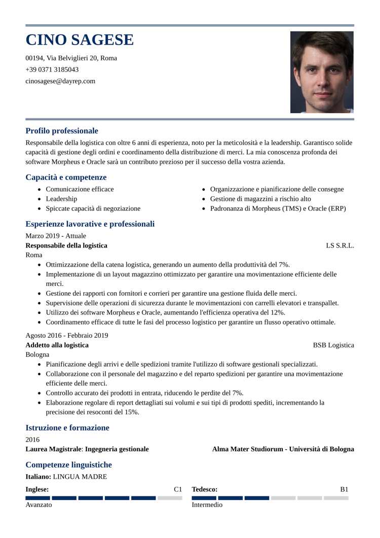 curriculum vitae layout