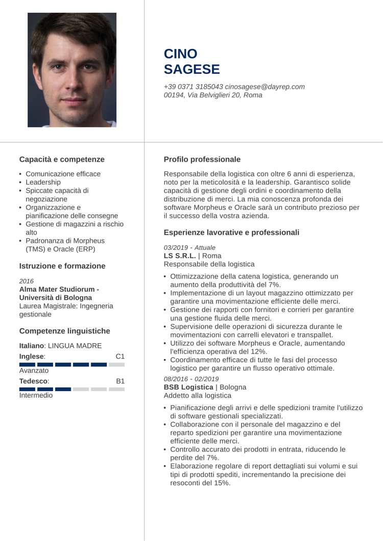 layout curriculum vitae