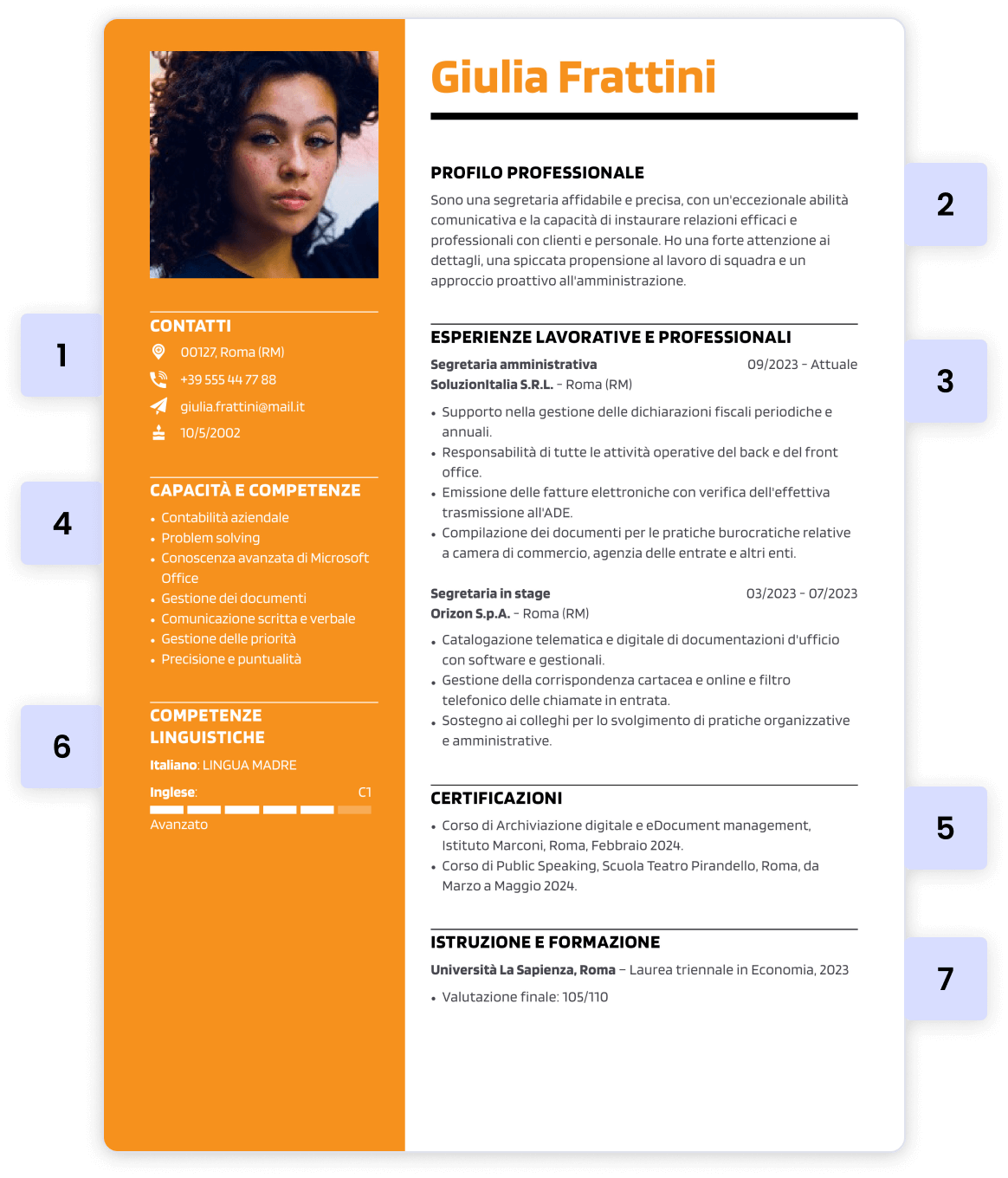 esempio di struttura di curriculum